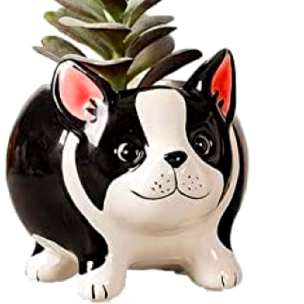 Frenchie French Bulldog Succulent Cactus Plant Planter Pot Animal Flower Dog